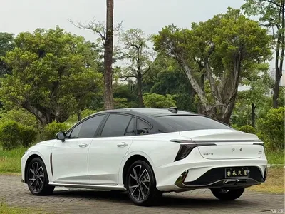 2024 Hongqi H6 Model 2.0T Elegance Edition, фото 4, лот 11301498