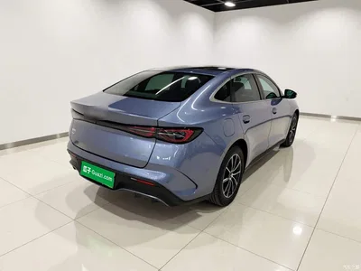 2024 BYD Seal 06 New Energy DM-i 80KM Prestige, фото 4, лот 11104577
