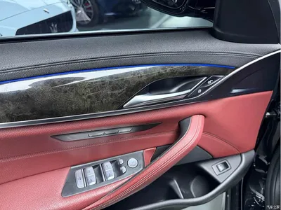 2020 BMW 5 Series 530Li Leading M Sport Package, фото 4, лот 10445536