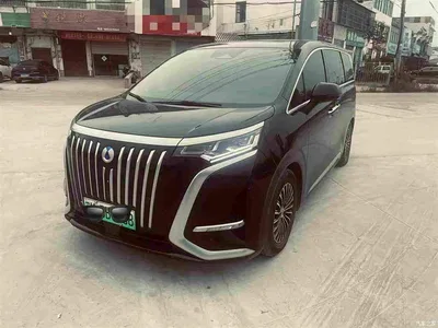 2024 Denza D9 EV 600 AWD Premium, фото 1, лот 10449829