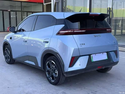 2025 BYD Seagull Smart Drive Edition 305km Freedom Version, фото 4, лот 10250169