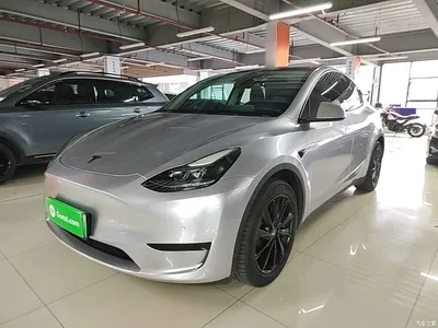 2022 Tesla Model Y Rear-Wheel Drive Version, фото 1, лот 10369939