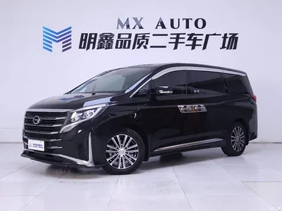 2021 GAC Trumpchi Trumpchi M8 Leading Show Series 390T Prestige Edition, фото 2, лот 10414446
