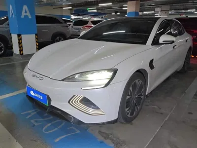 2022 BYD Seal 550km Standard Range RWD Premium, фото 1, лот 10448606