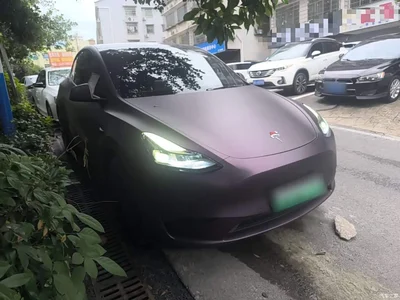 2022 Tesla Model Y Rear-Wheel Drive Version, фото 4, лот 10370541