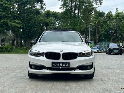 2018 BMW 3 Series GT 320i Fashion, фото 2, лот 10473492