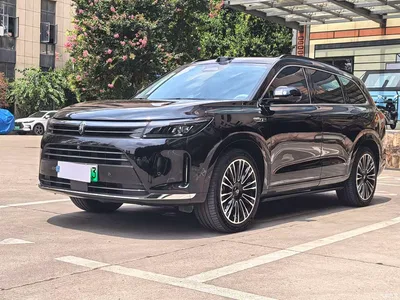 2024 AITO Wenjie AITO M7 1.5T Smart AWD Max Edition 5-Seater, фото 1, лот 10277207