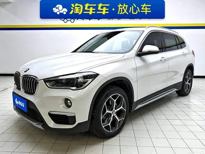 2019 BMW X1 sDrive18Li Premium Model, фото 1, лот 10423392