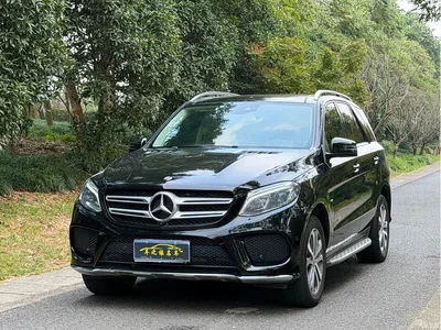 2019 Mercedes-Benz GLE 320 4MATIC Dynamic Ultimate Edition, фото 1, лот 11248539