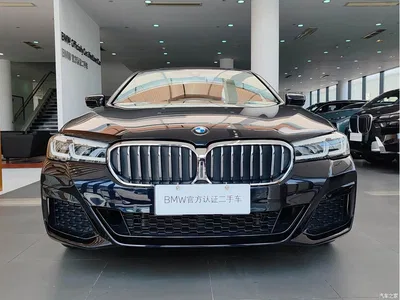 2023 BMW 5 Series 530Li Leading M Sport Package, фото 2, лот 10444752