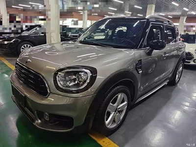 2019 MINI COUNTRYMAN 1.5T COOPER Artist Weekend Travel, фото 1, лот 10435115