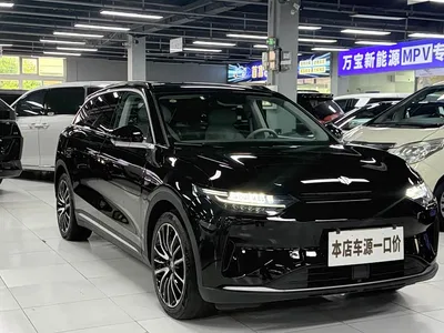 2021 Leapmotor C11 Smart Edition 510, фото 3, лот 10511859