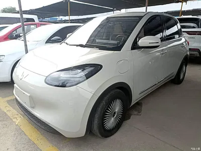2024 Wuling Motors Wuling Bingo 333km Comfort Edition, фото 2, лот 10663239