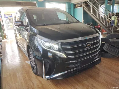 2021 GAC Trumpchi Trumpchi M8 Leading Show Series 390T Prestige Edition, фото 4, лот 10426331