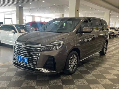 2023 Buick GL8 Model Land Business Class Comfort, фото 1, лот 10256662