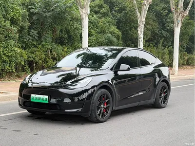 2023 Tesla Model Y Rear-Wheel Drive Edition, фото 3, лот 11137200