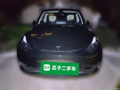 2023 Tesla Model Y Long Range All-Wheel Drive Edition, фото 2, лот 10635489