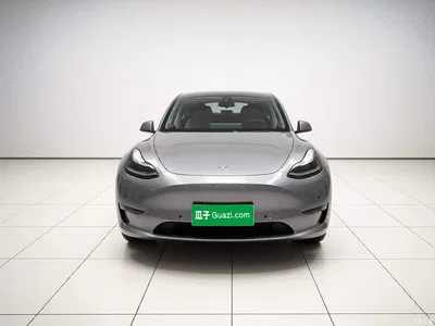 2021 Tesla Model Y Standard Range Rear-Wheel Drive, фото 2, лот 10387861