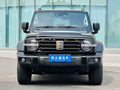 2021 Tank 300 Off-road Edition 2.0T Challenger, фото 2, лот 10346541