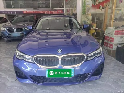 2020 BMW 3 Series 325Li M Sport Package, фото 3, лот 10478638