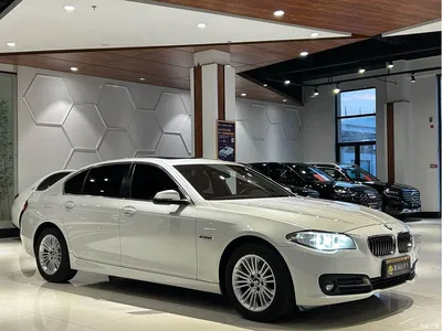 2014 BMW 5 Series 525Li Leading, фото 4, лот 11188571