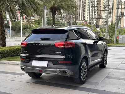 2020 Haval H6 1.5GDIT Automatic Platinum Champion Edition, фото 4, лот 10476112