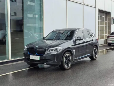 2021 BMW iX3 Facelift Pioneer, фото 1, лот 11191117