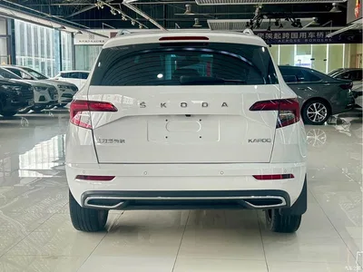 2022 Škoda Karoq TSI280 Luxury Edition, фото 3, лот 10348341