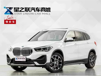 2020 BMW X1 sDrive25Li Leading Model, фото 1, лот 10578526