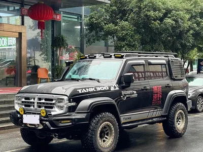 2023 Tank 300 Off-Road Edition 2.0T Conqueror, фото 1, лот 11216241