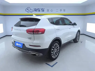 2020 Haval H6 1.5GDIT Automatic Platinum Champion Edition, фото 3, лот 10625209