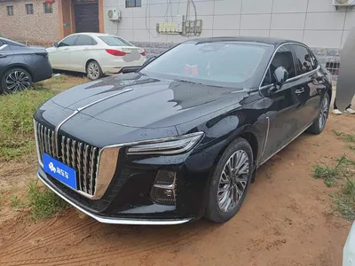 2023 Hongqi H5 2.0T Auto Smart Connect Flag Comfort, фото 1, лот 10288131