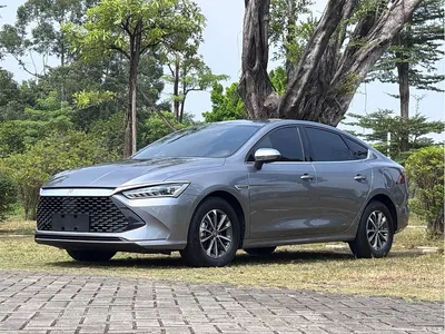 2024 BYD Qin PLUS Glory Edition DM-i 55KM Leading, фото 2, лот 11097939