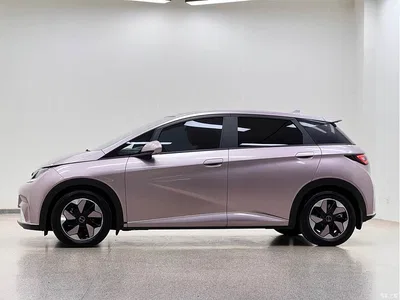 2024 BYD Dolphin Glory Edition 420km Fashion Edition, фото 4, лот 10889629