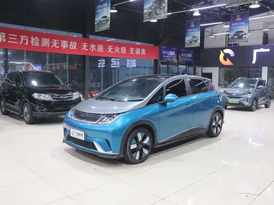 2023 BYD Dolphin 401km Knight Edition, фото 4, лот 10257734