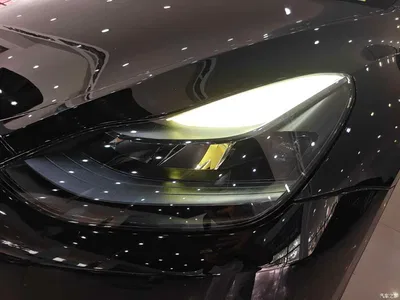 2023 Tesla Model Y Rear-Wheel Drive Edition, фото 3, лот 11133185