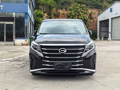 2023 GAC Trumpchi Trumpchi M8 Leading Series 390T Prestige Edition, фото 2, лот 10417613