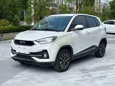 2019 Nezha Auto Nezha N01 380e, фото 3, лот 11144728