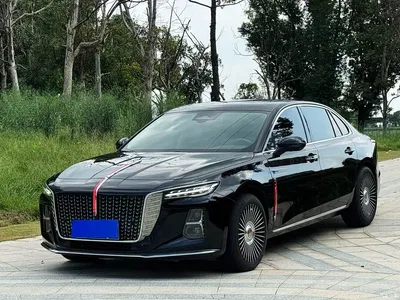 2023 Hongqi H5 2.0T Auto Smart Connect Flag Comfort, фото 1, лот 11136705
