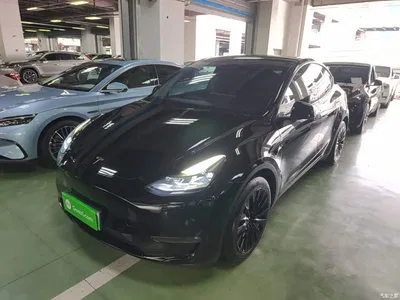2021 Tesla Model Y Model Long Range AWD, фото 1, лот 10890024
