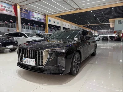 2024 Hongqi H9 2.0T Qi Enjoy Private Fashion Edition, фото 1, лот 10288166