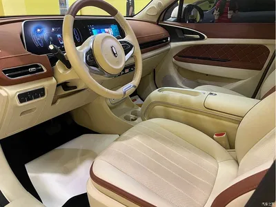 2024 Ora Good Cat 401km Premium 126kW, фото 4, лот 10331550