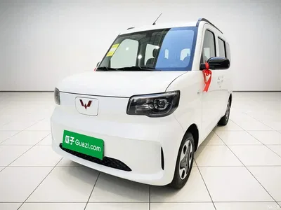 2025 Wuling Motors Wuling Zhiguang NEV Model 305km Base Version, фото 1, лот 11481191