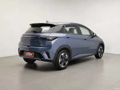 2025 BYD Dolphin 420km Freedom Edition, фото 2, лот 10826291