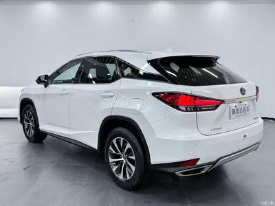 2020 Lexus RX 300 2WD Elite Edition China VI, фото 4, лот 10312631