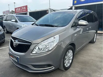 2017 Buick GL8 25S Premium Model China V, фото 1, лот 10257052