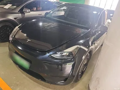 2022 Tesla Model Y Facelift Rear-Wheel Drive Version, фото 1, лот 10369572