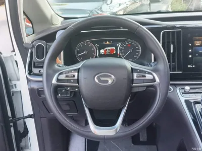 2021 GAC Trumpchi Trumpchi M8 Facelift Leading Series 390T Luxury Edition, фото 3, лот 10899237