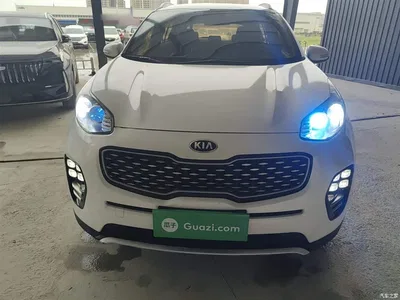 2016 Kia KX5 Model 1.6T Automatic 2WD DLX, фото 3, лот 10338419