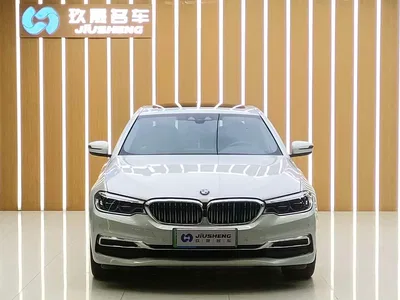 2020 BMW 5 Series New Energy 530Le Range Upgrade Luxury Package, фото 2, лот 11582636